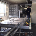 Impact Tunnel Freezer For Fish Processing